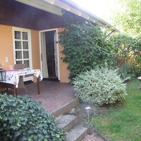 Ferienwohnung Am Odenwaldlimes Vielbrunn Exterior foto